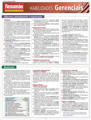 HABILIDADES GERENCIAIS